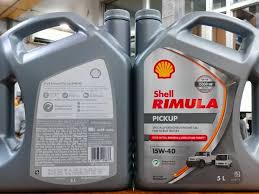 Shell Rimula